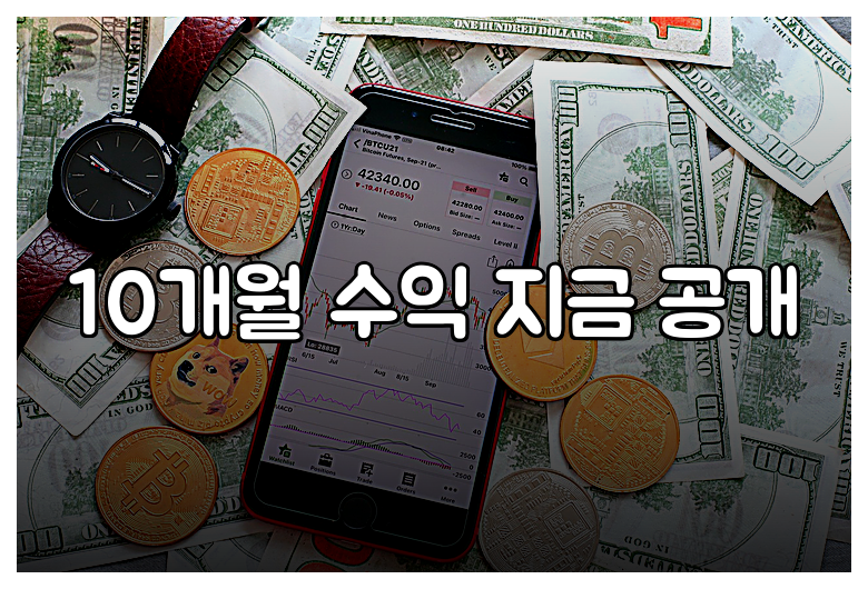 10개월 수익 지금 공개