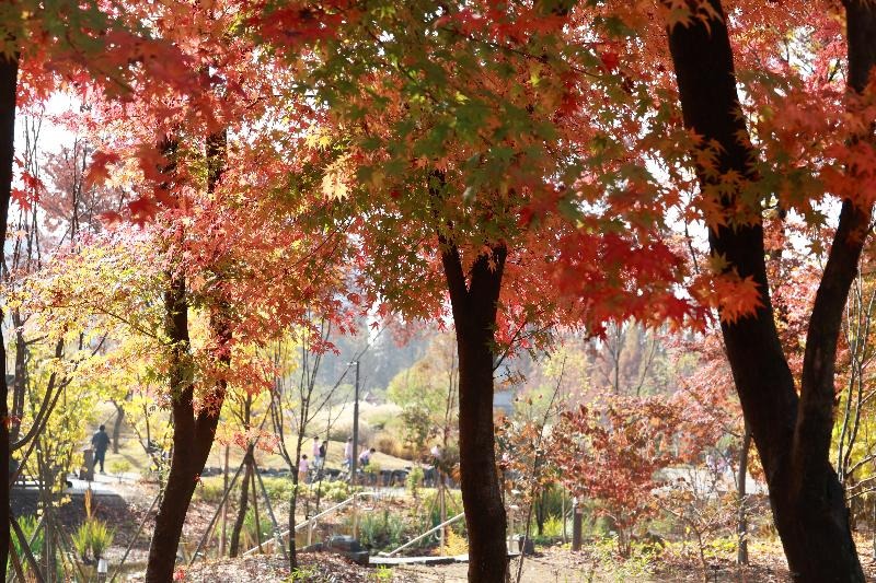 수원 일월수목원 입장료 할인 주차