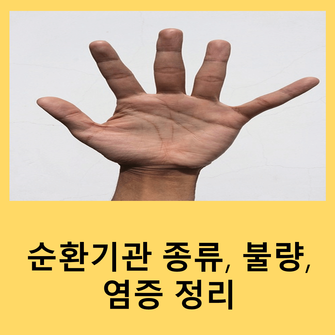 순환기관