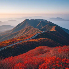 한라산단풍1