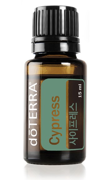 사이프레스 오일