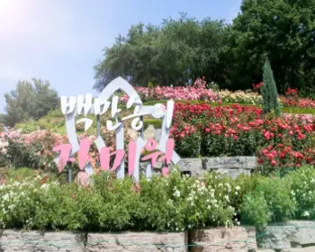 부천 백만송이 장미축제_15