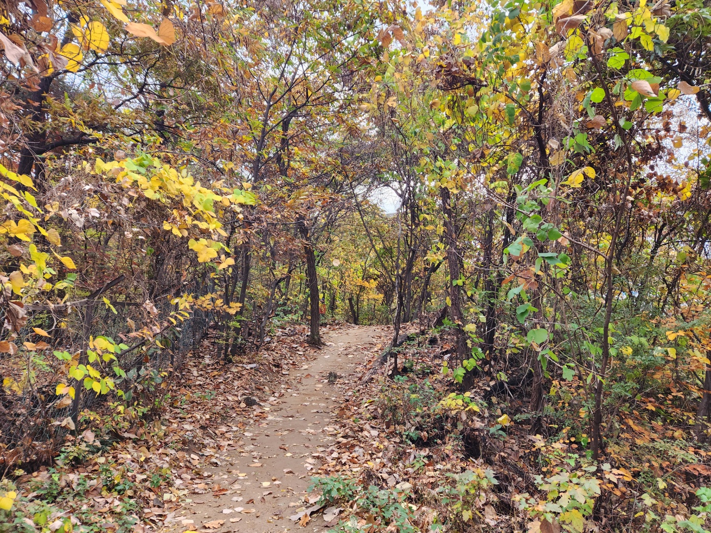 맨발걷기-산책길-가을길