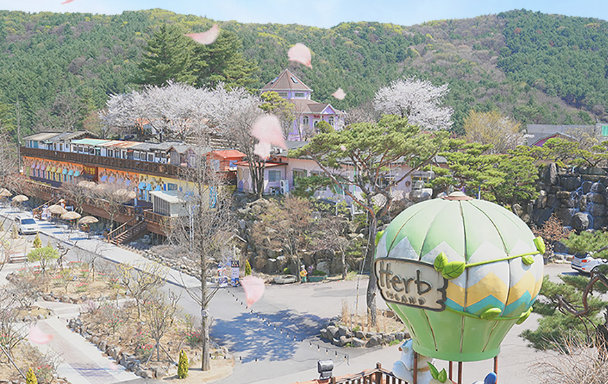 포천 허브아일랜드 이미지