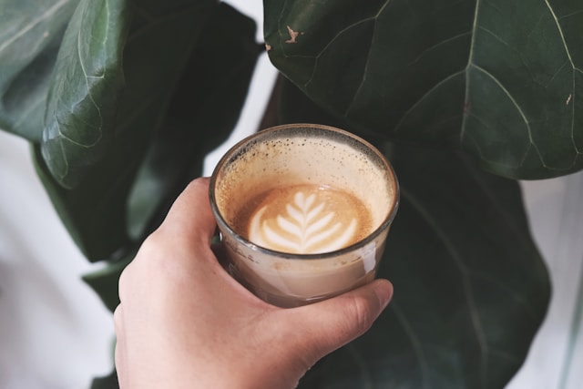 홈카페용품으로 만든 나만의 힐링공간 완벽 가이드