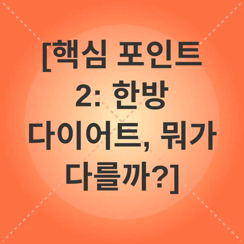 한방 다이어트_2