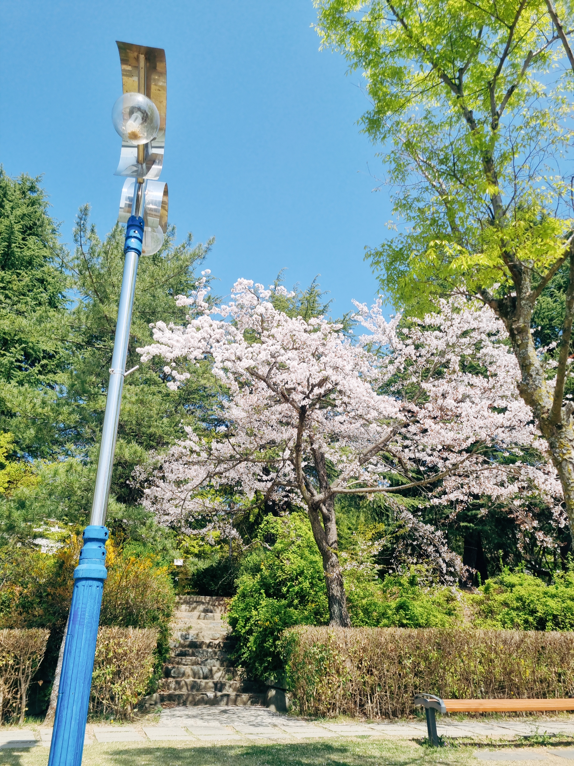경주 보문단지