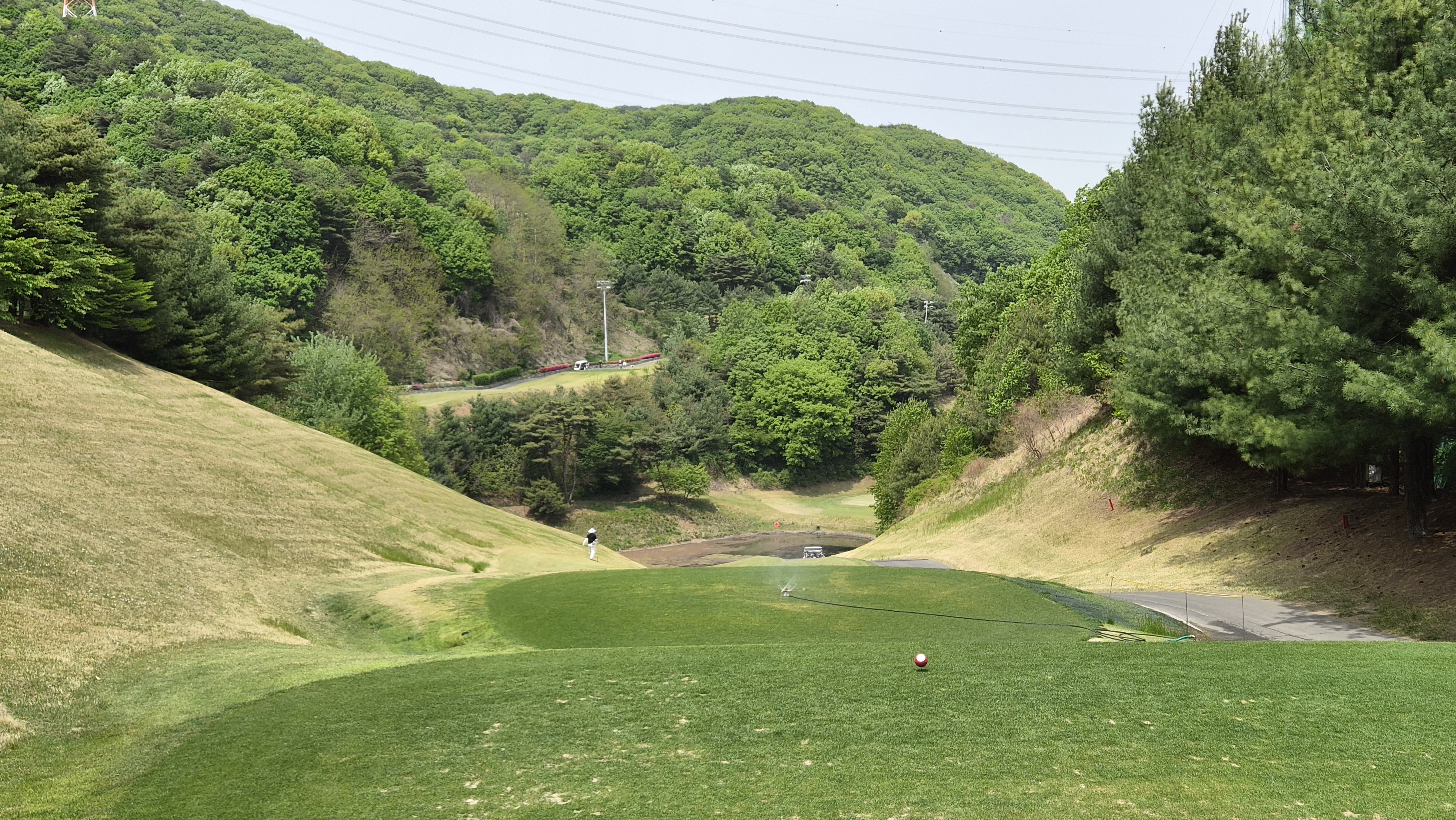 포웰cc 프린세스 코스 사진 및 공략 정보