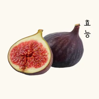 무화과 효능 칼로리 먹는 방법 수확시기 보관법_16