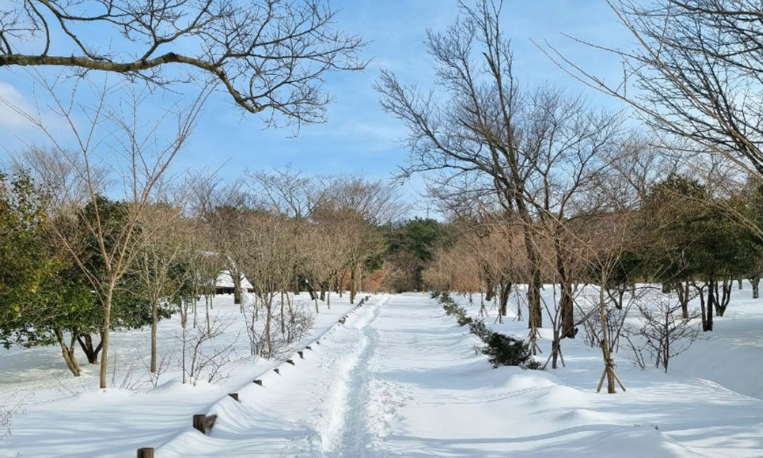 한라생태숲