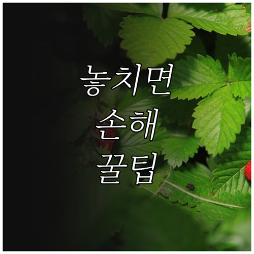 내 월세 걱정 끝! 2025 고흥 청..