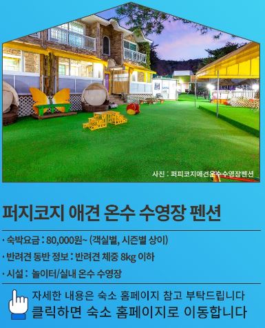퍼지코지