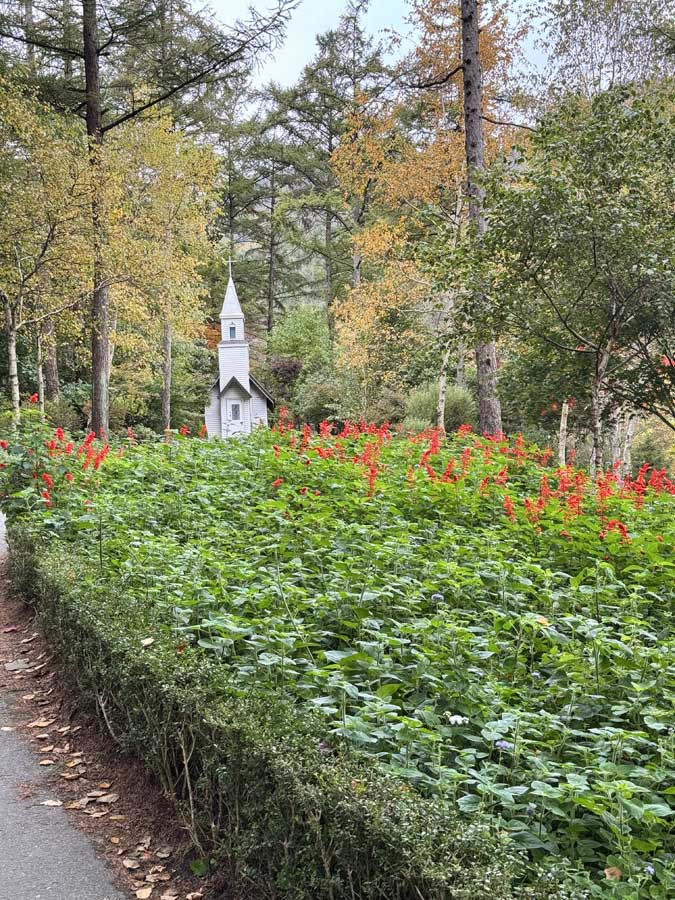 가을빛 가득한 아침고요수목원&amp;#44; 사진으로 담은 정원의 계절