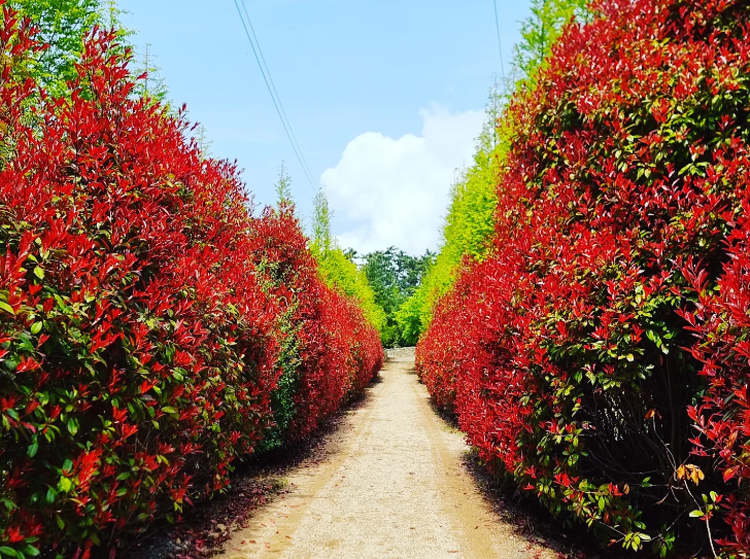 태안 청산수목원