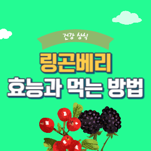 링곤베리