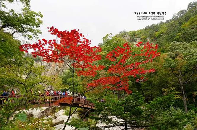 오색약수터