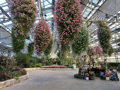 일본 나고야 나바나노사토 방문 후기/가는법