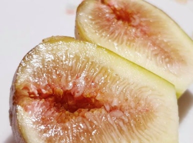 마그네슘 효능 부작용 올바른 복용법 하루 권장량