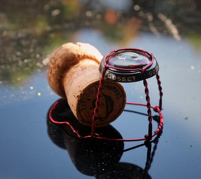 고대 로마와 코르크: 와인 문화를 형성한 혁신적 재료