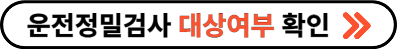 운전적성정밀검사
