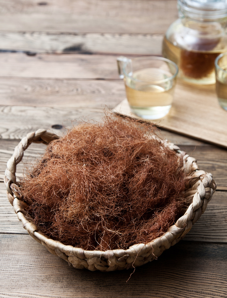 옥수수수염 옥수수수염차 효능 부작용 주의사항