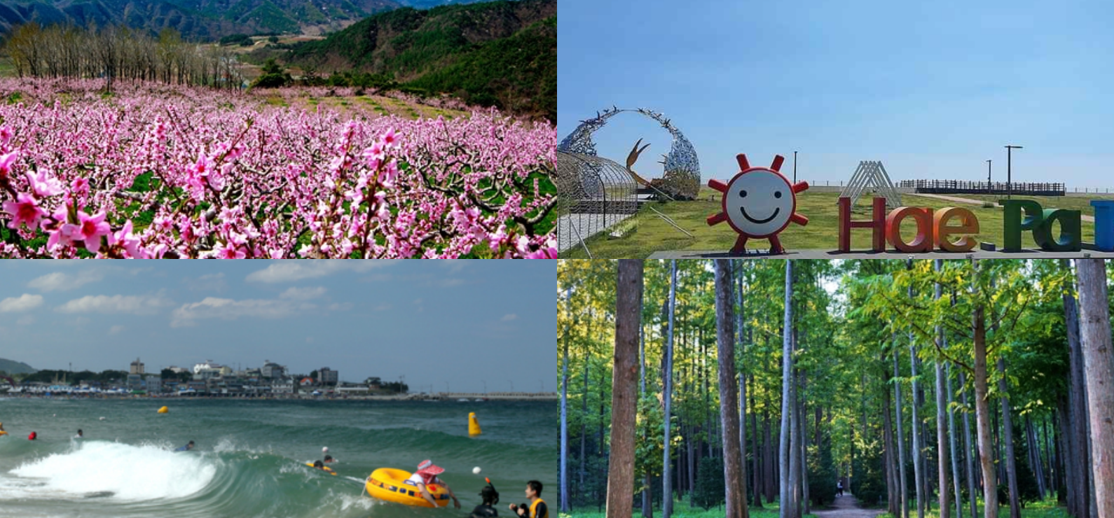 영덕 가볼만한곳