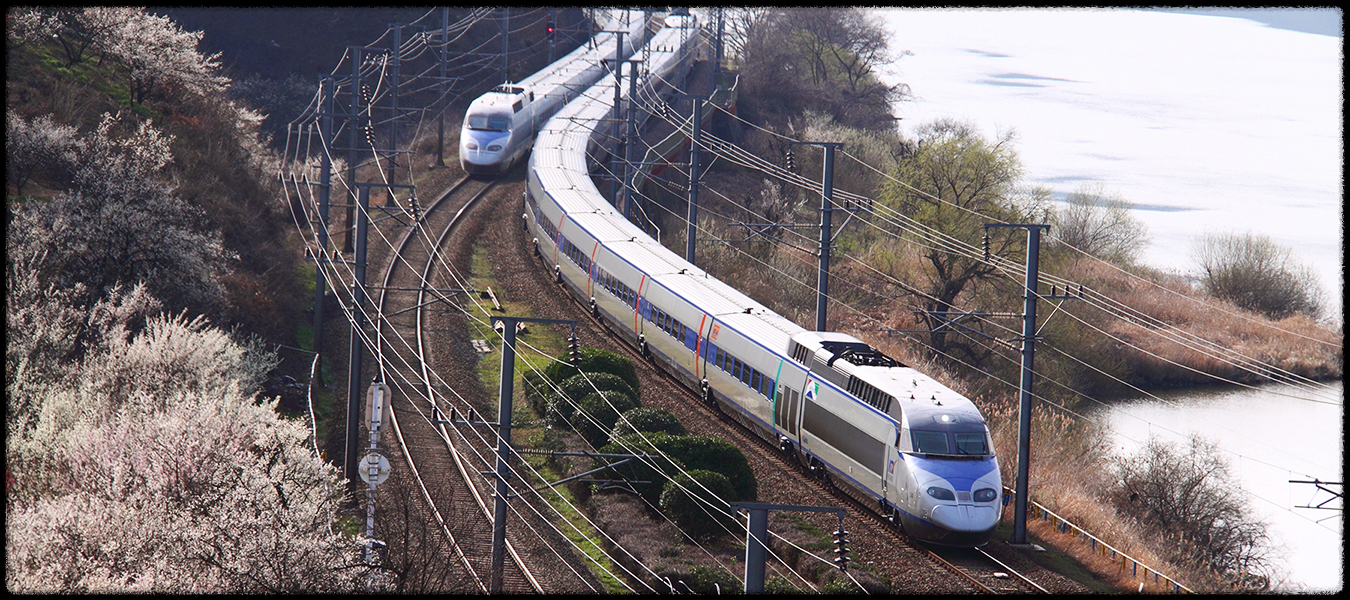 양산 원동 매화축제