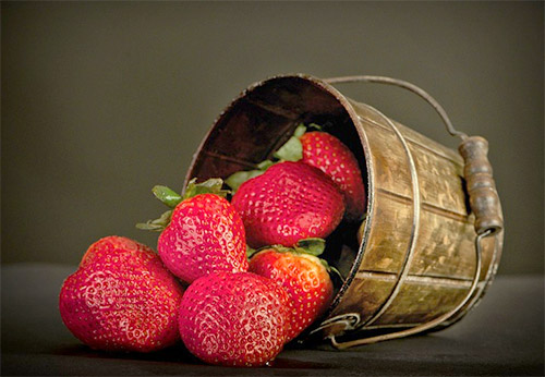 딸기 효능