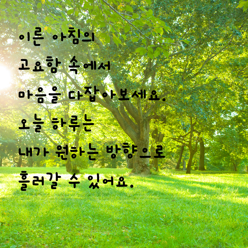 기분 좋은 아침 인사말 문구 이미지 모음