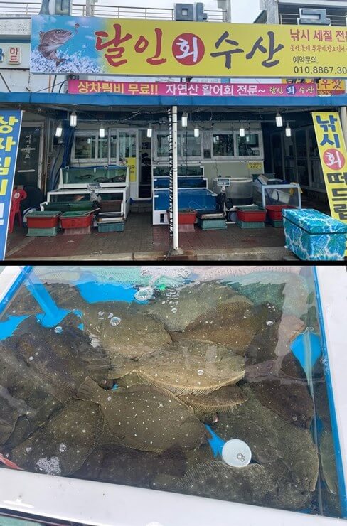 군산-비응항-회센터-회포장