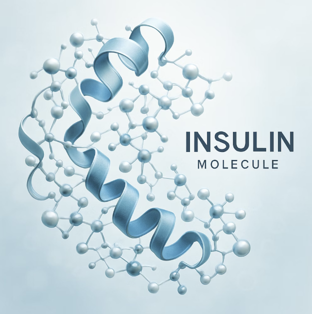 천연 인슐린&amp;#44; 혈당 조절의 파수꾼