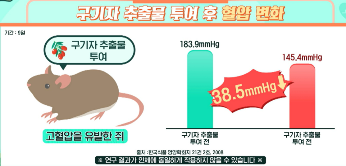 구기자 효능