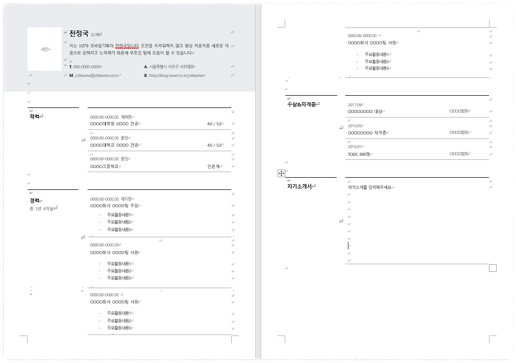 Word (워드) 배경형 이력서 양식 안내