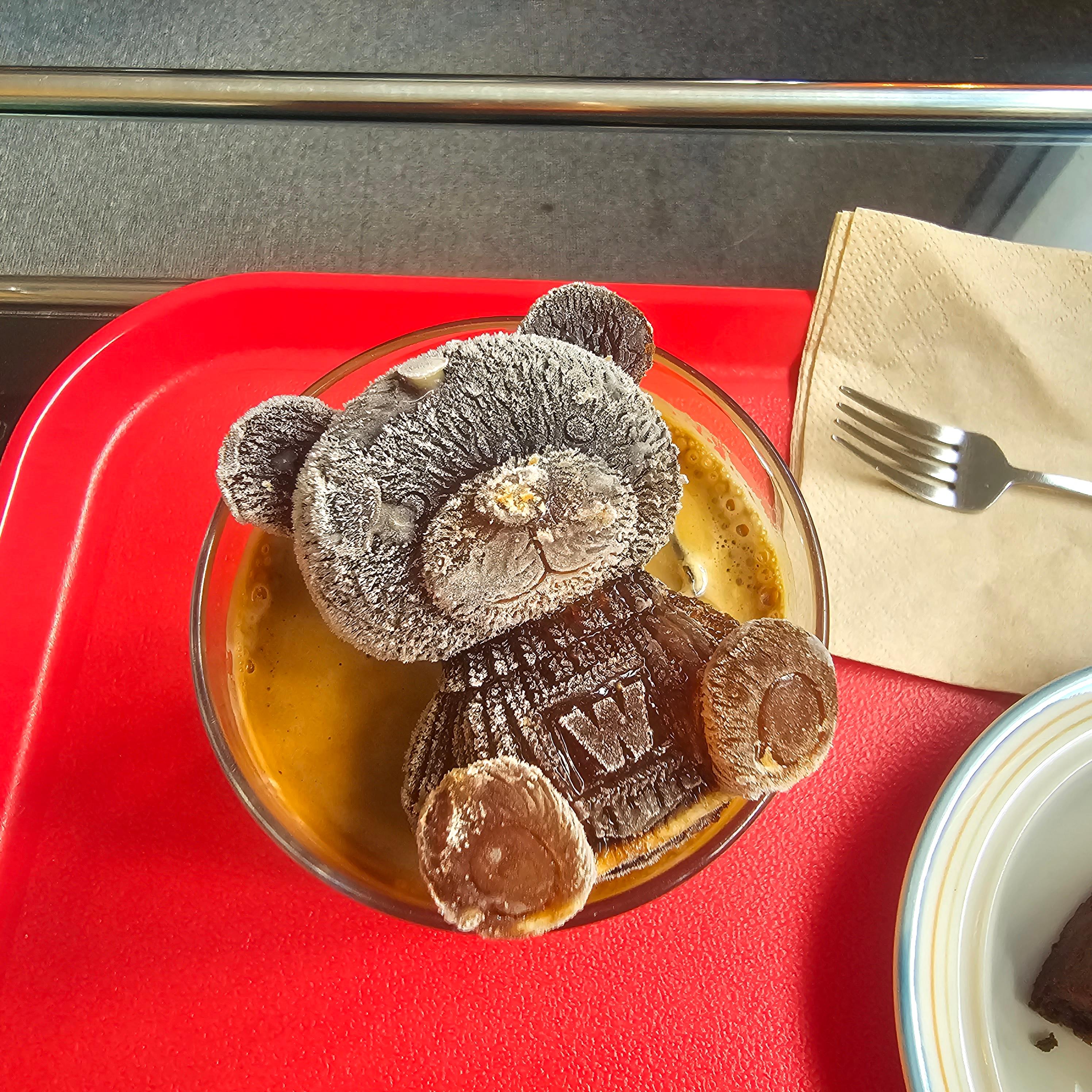 반려견 동반 가능 카페 ‘모디피(modify)’