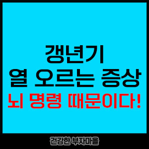 갱년기 열 오르는증상