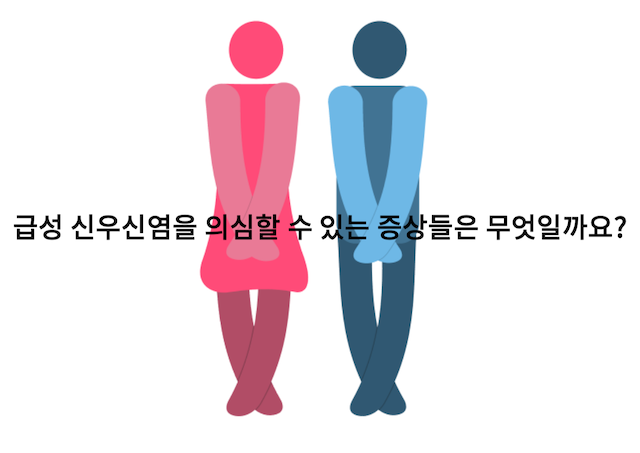 여성질환-신우신염
