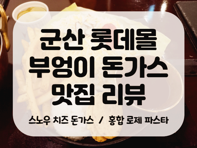 군산 롯데몰 부엉이 돈가스 맛집 리뷰