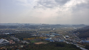 화성_우리꽃식물원_국화전시회