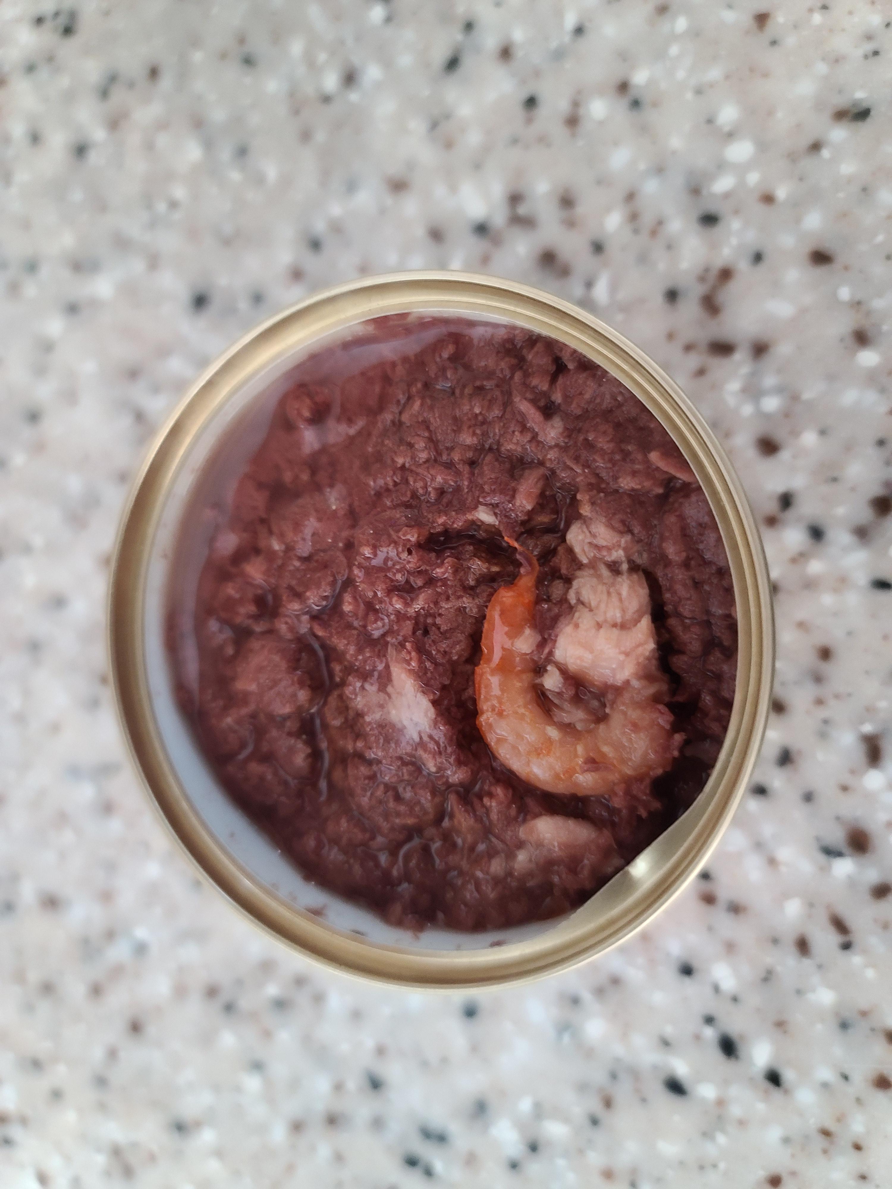 까칠도도 다다의 주식에 관한 이야기. 다다가 사료를 거부하게 된 이유.