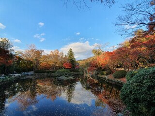 2023 단풍여행 시기 지역별 명소