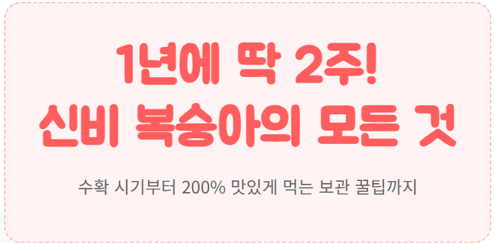 신비 복숭아 수확시기