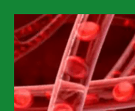 심혈관질환예방