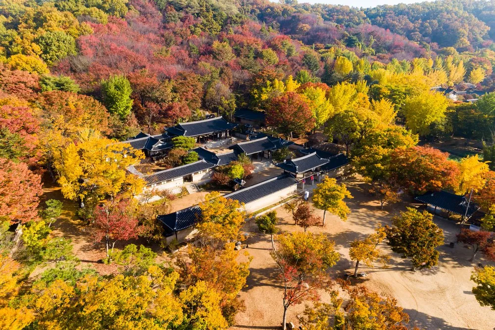 한국 민속촌
