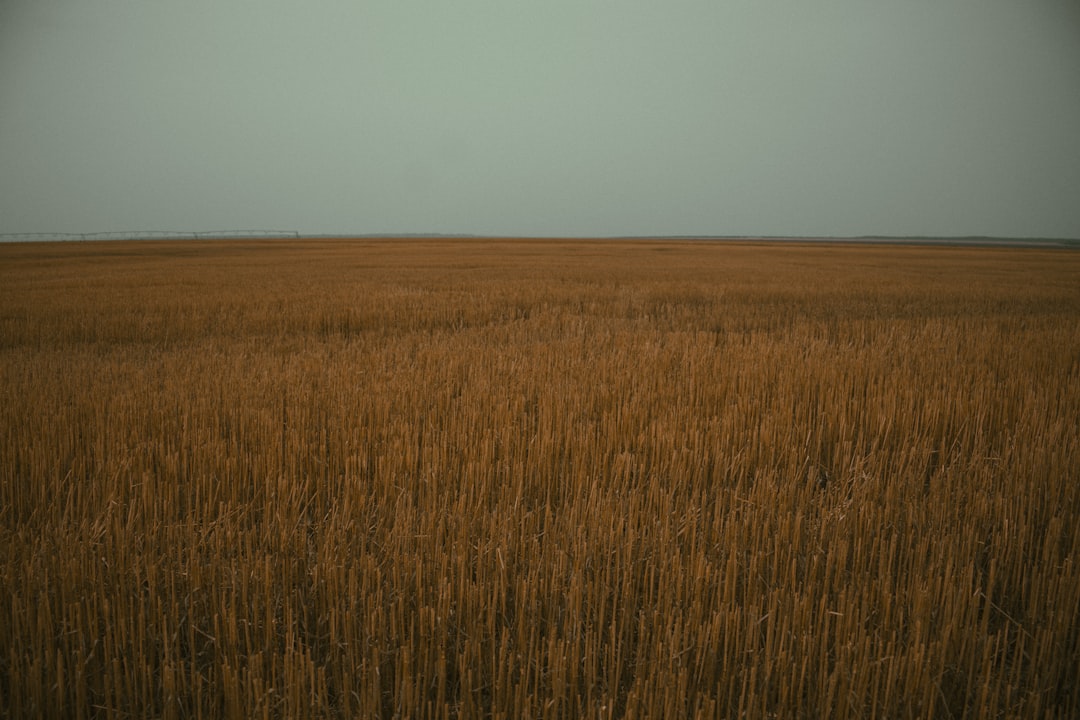 Yield