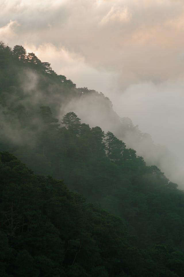 전국 날씨 예보 기온 강수 추위 전망