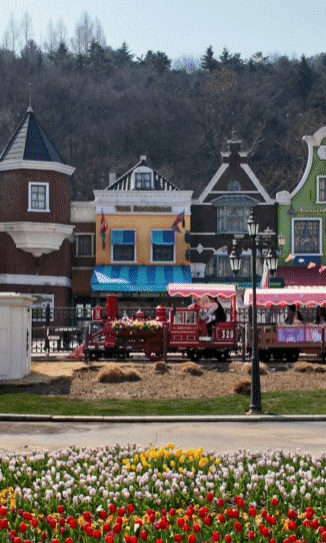 에버랜드 튤립축제