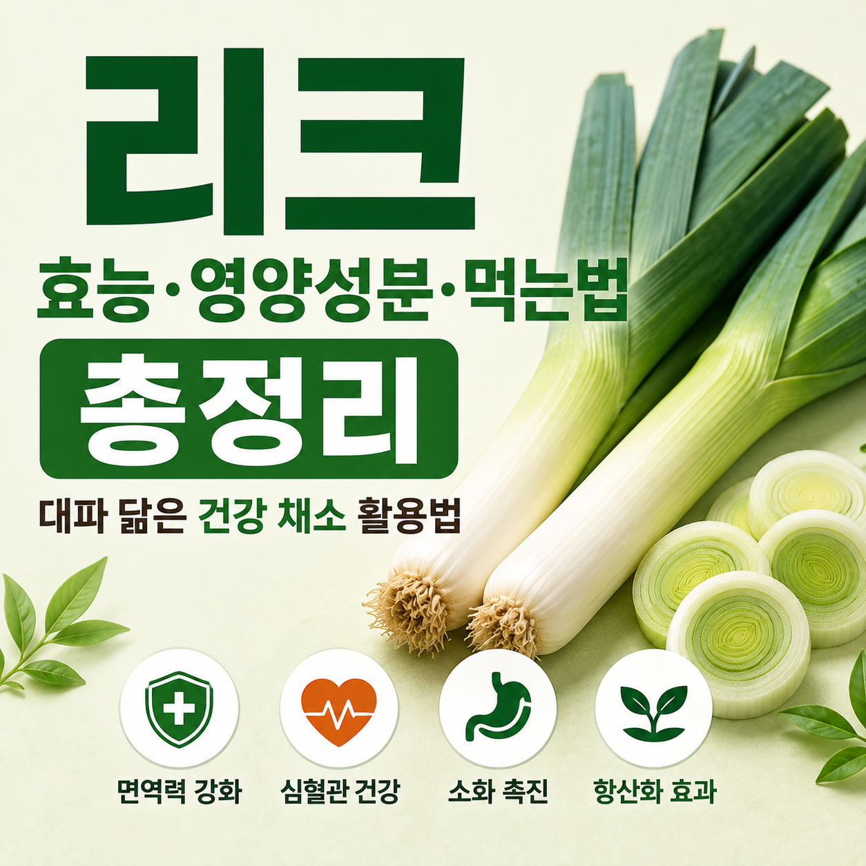 리크 효능