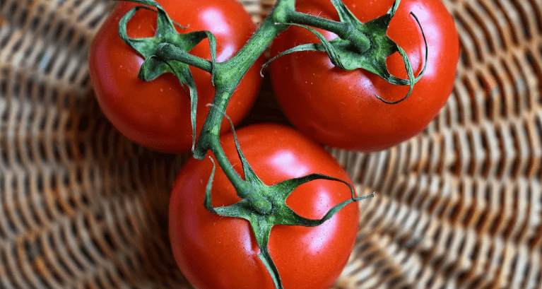 내장 지방 빼는 음식 토마토