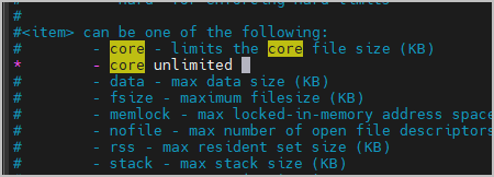 코어 파일 사이즈 저장