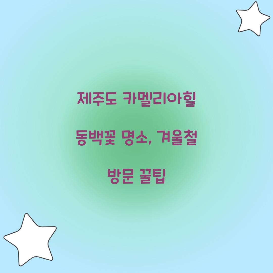 제주도 카멜리아힐 동백꽃 명소
